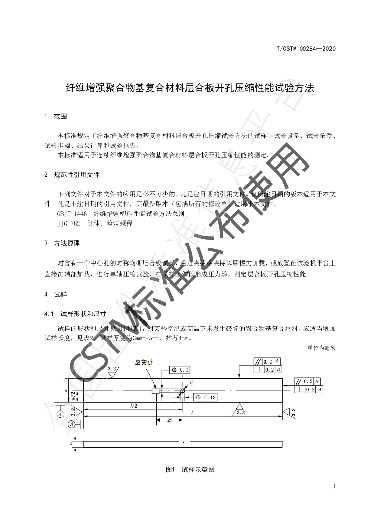 T/CSTM 00284-2020 标准预览
