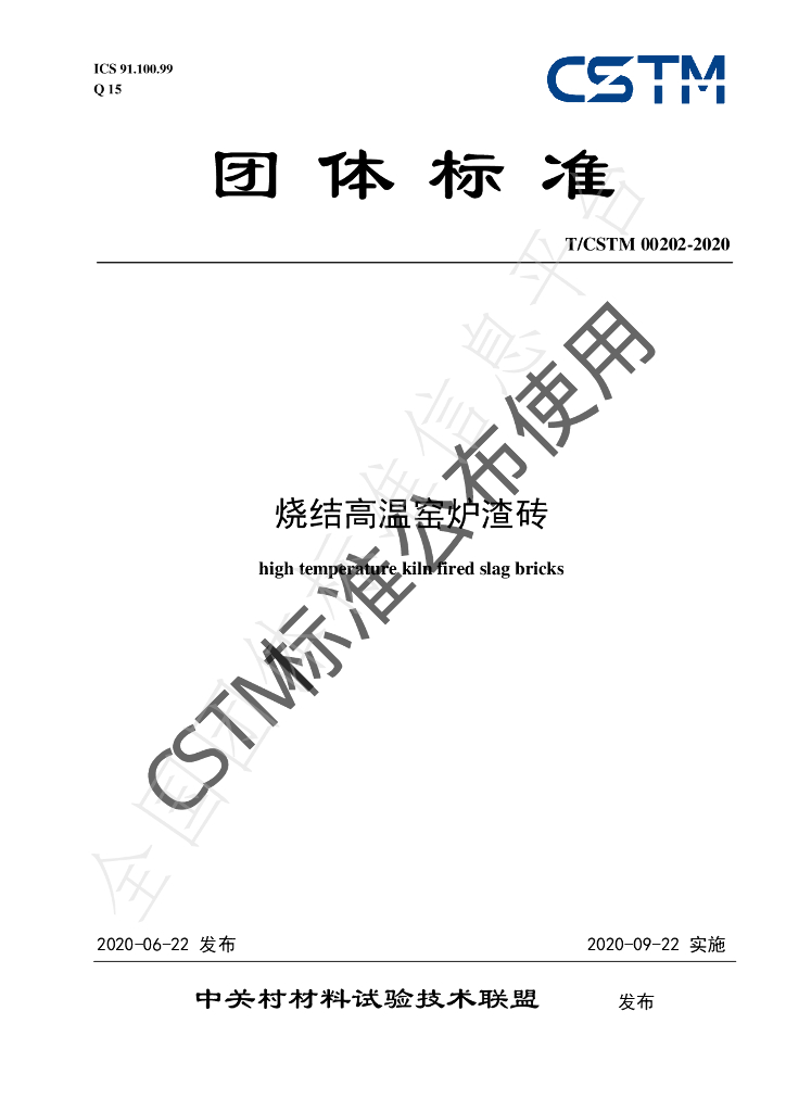 T/CSTM 00202-2020 标准预览