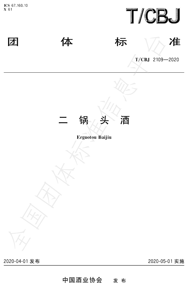 T/CBJ 2109-2020 标准预览