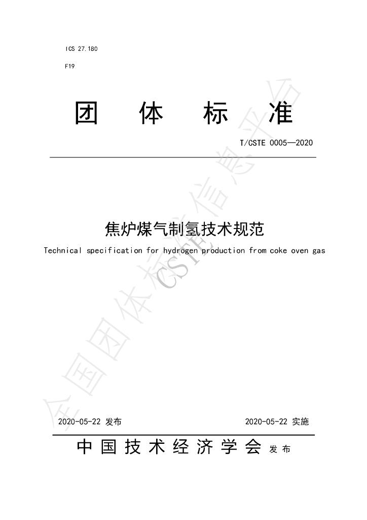 T/CSTE 0005-2020 标准预览