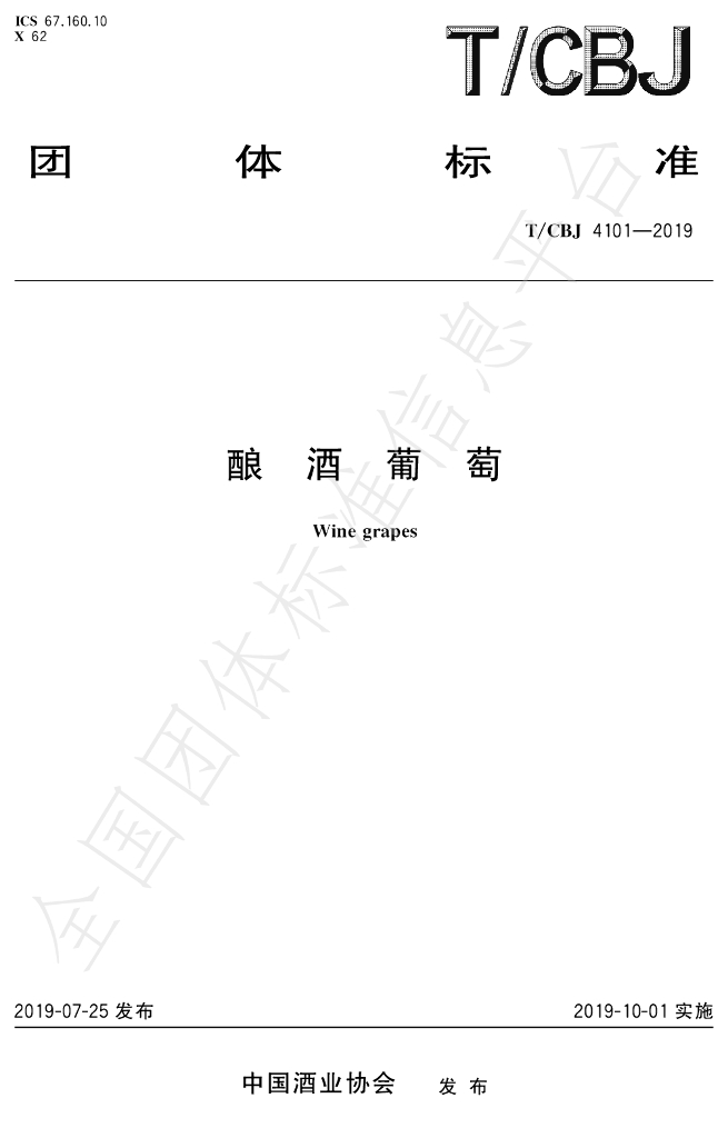 T/CBJ 4101-2019 标准预览