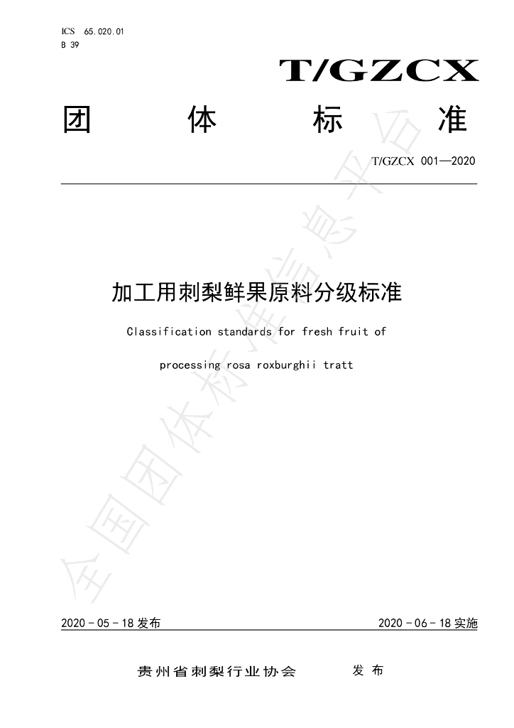 T/GZCX 001-2020 标准预览