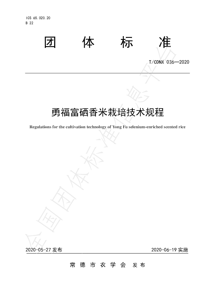 T/CDNX 036-2020 标准预览