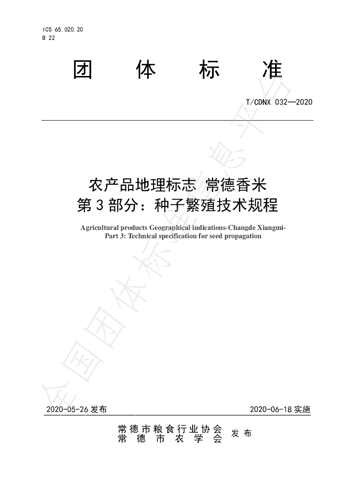 T/CDNX 032-2020 标准预览