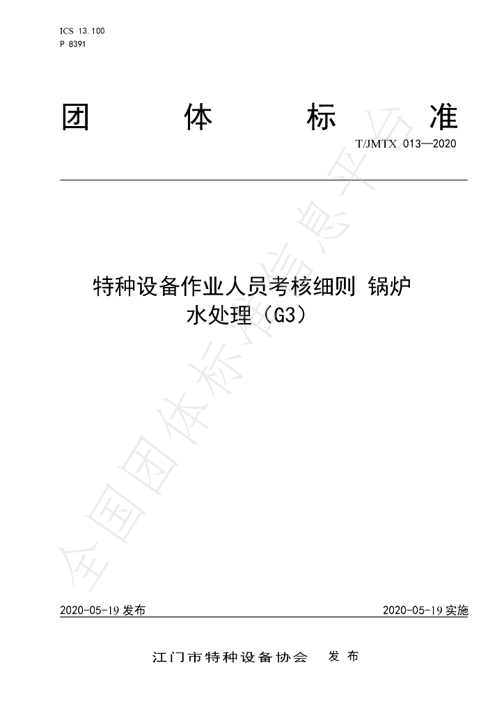 T/JMTX 013-2020 标准预览