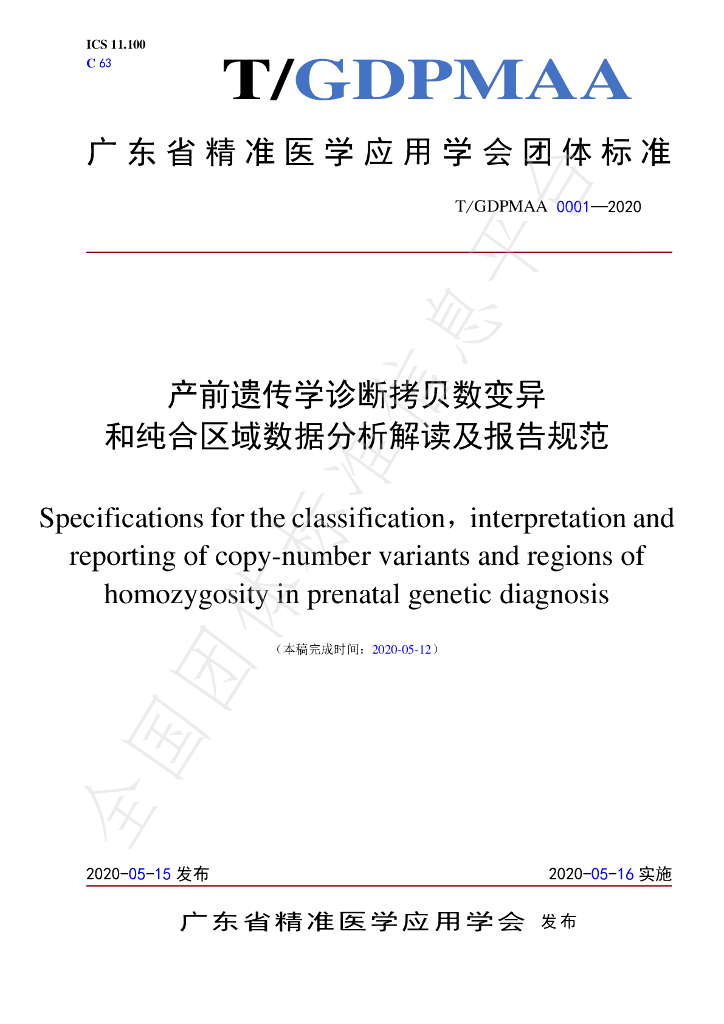 T/GDPMAA 0001-2020 标准预览