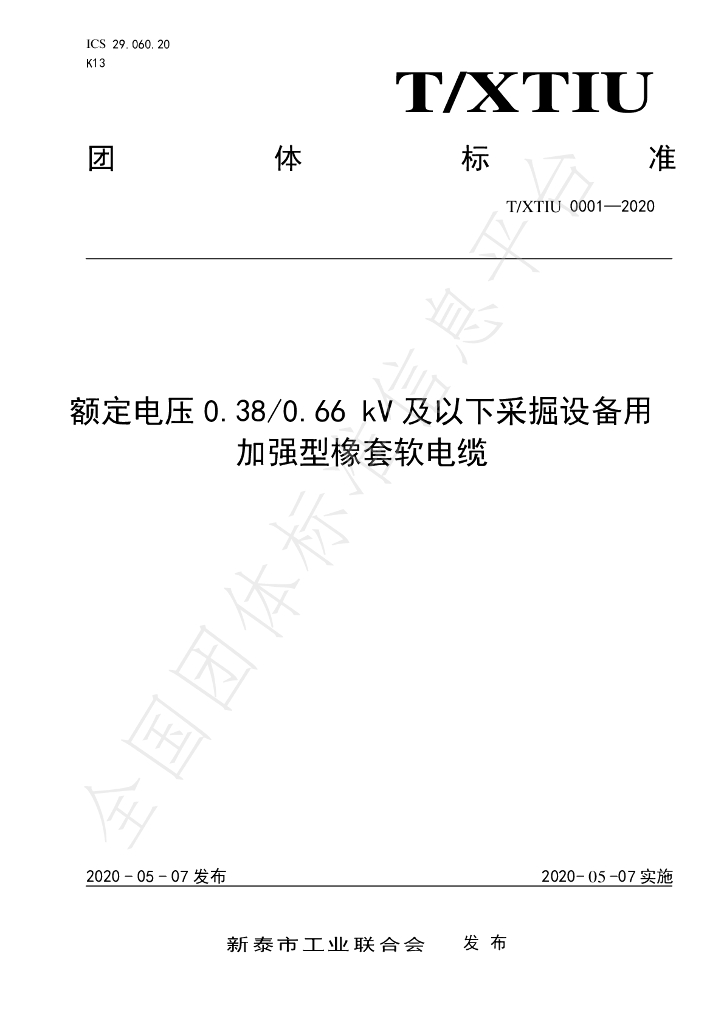 T/XTIU 0001-2020 标准预览