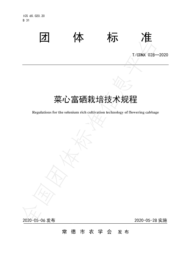 T/CDNX 028-2020 标准预览