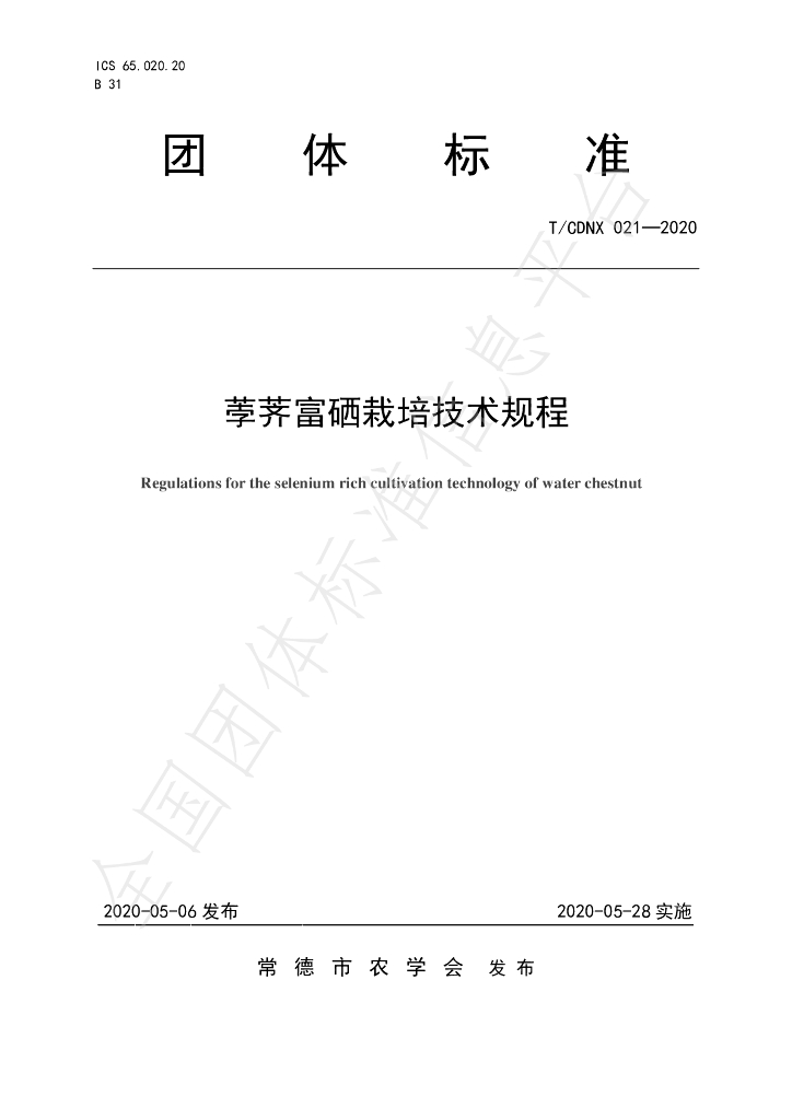 T/CDNX 021-2020 标准预览