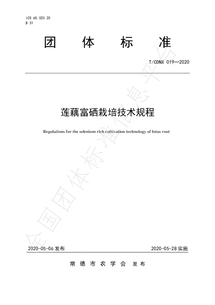 T/CDNX 019-2020 标准预览