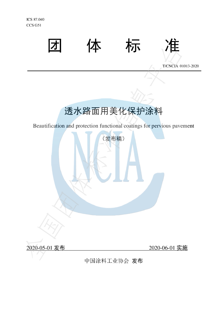 T/CNCIA 01013-2020 标准预览
