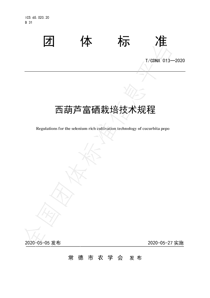 T/CDNX 013-2020 标准预览