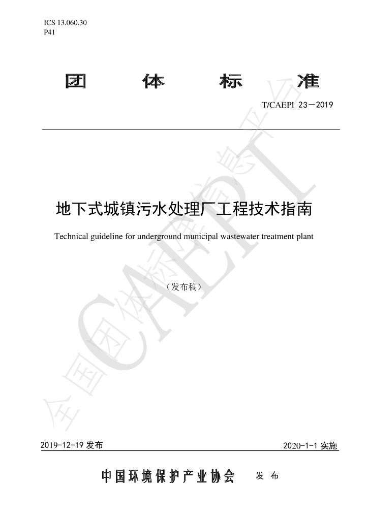 T/CAEPI 23-2019 标准预览