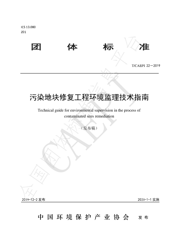 T/CAEPI 22-2019 标准预览