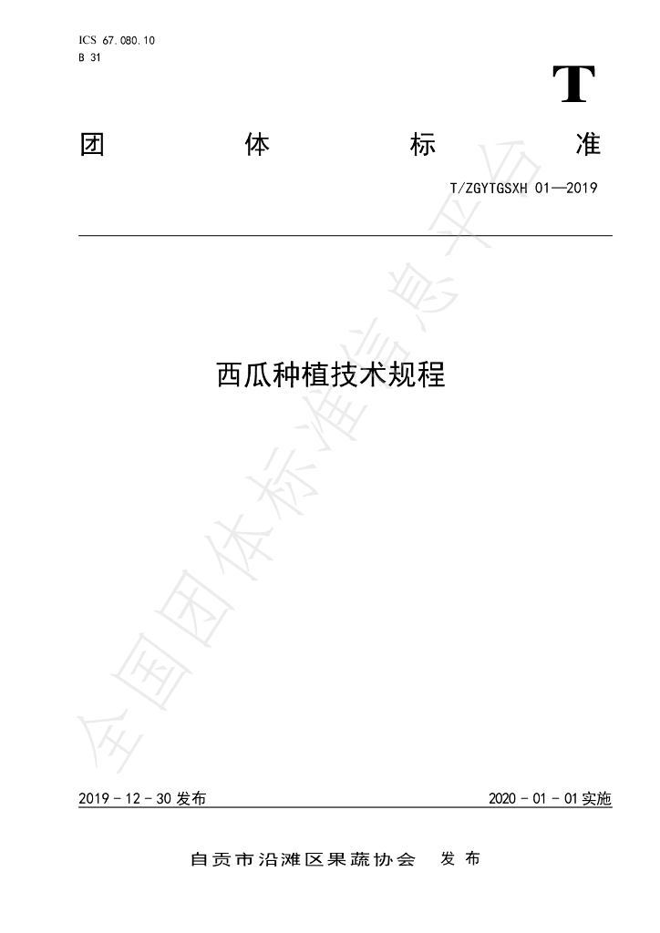 T/ZGYTGSXH 01-2019 标准预览