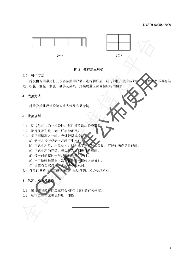 T/CSTM 00256-2020 标准预览