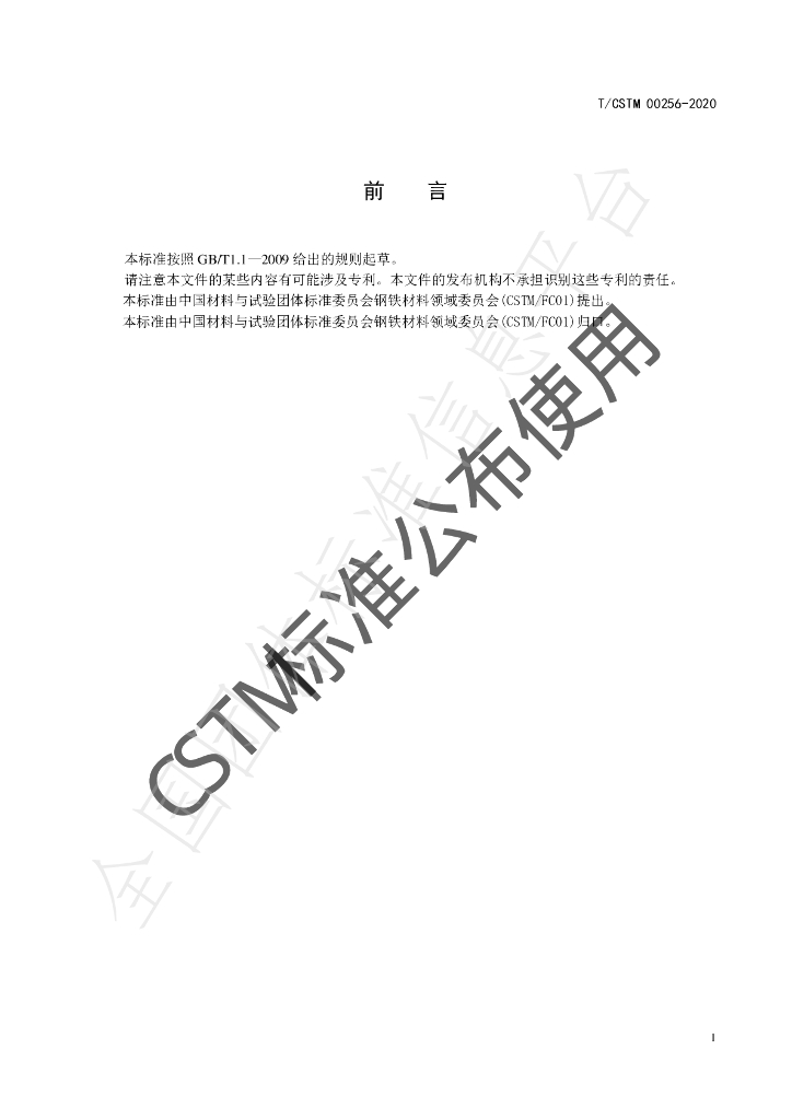 T/CSTM 00256-2020 标准预览