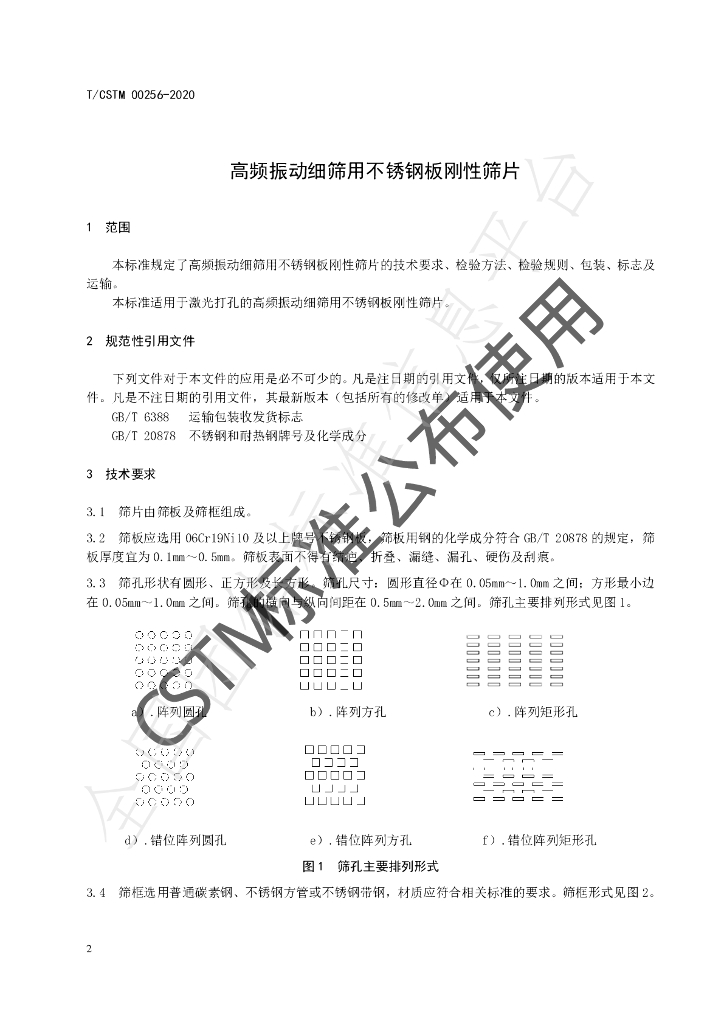 T/CSTM 00256-2020 标准预览