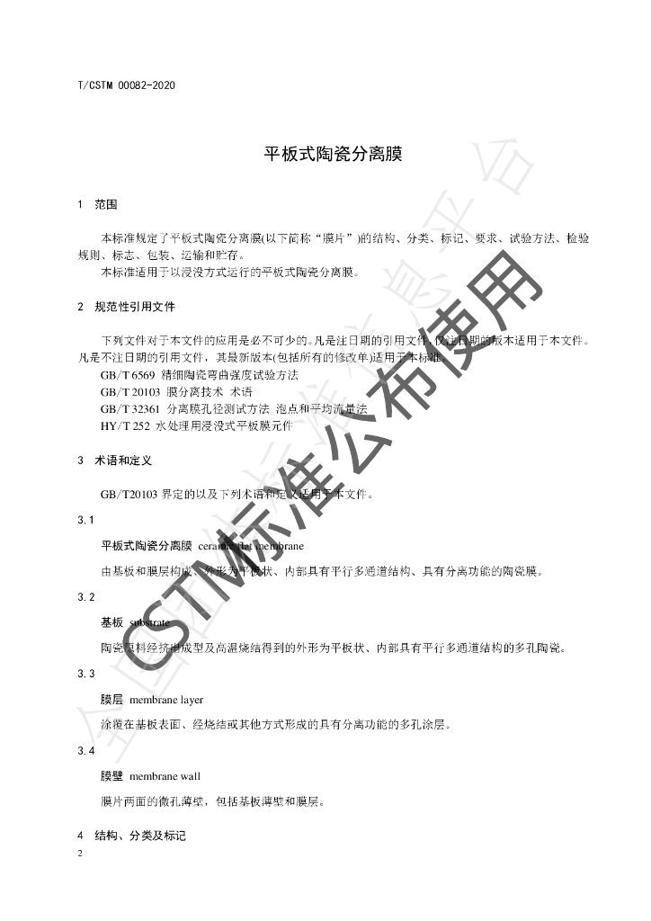 T/CSTM 00082-2020 标准预览