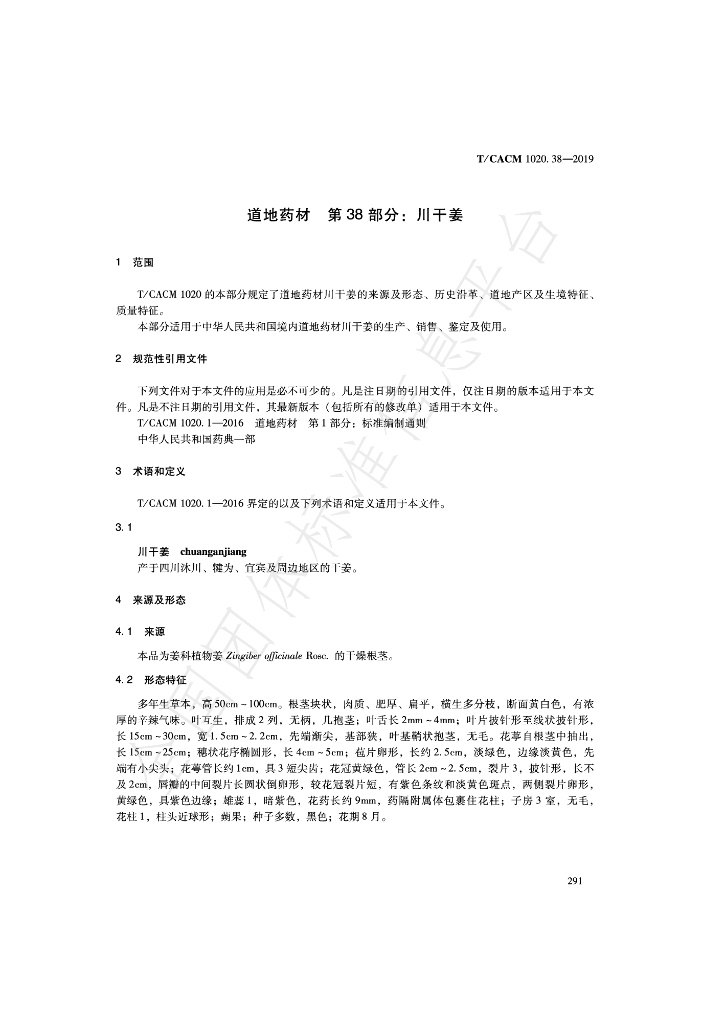 T/CACM 1020.38-2019 标准预览