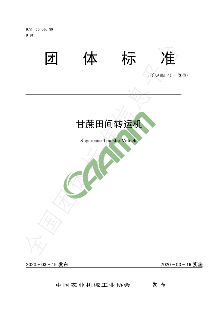 T/CAAMM 45-2020 标准预览