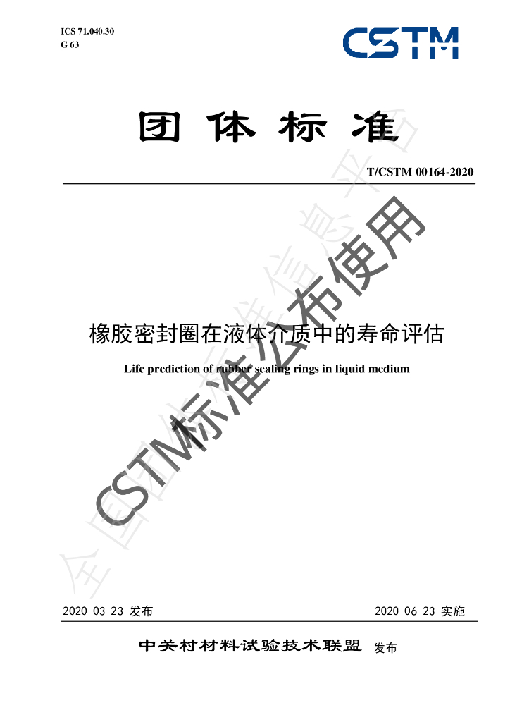 T/CSTM 00164-2020 标准预览