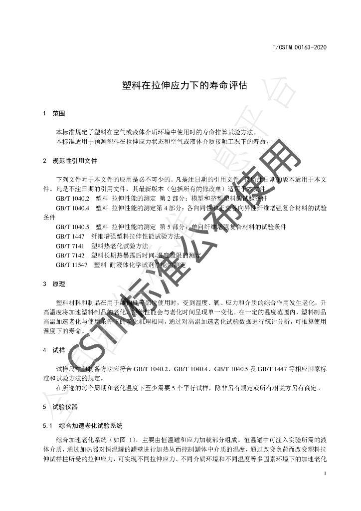 T/CSTM 00163-2020 标准预览