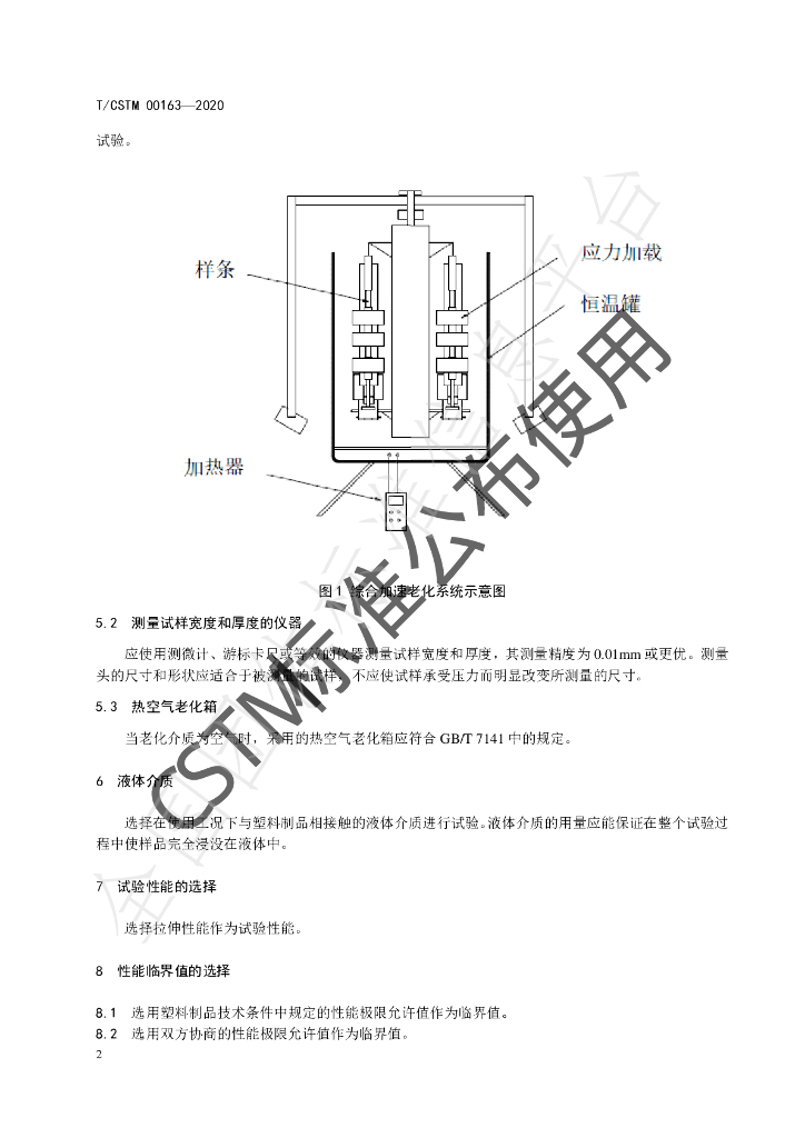 T/CSTM 00163-2020 标准预览