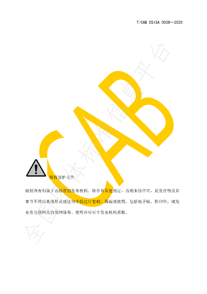 T/CAB CSISA0038-2020 标准预览
