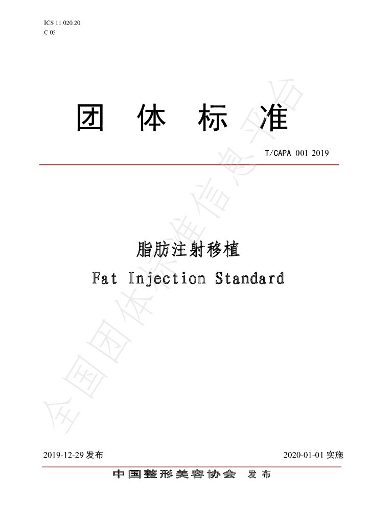 T/CAPA 001-2019 标准预览