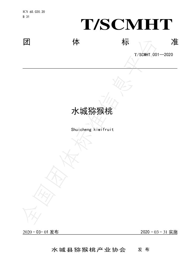 T/SCMHT 001-2020 标准预览
