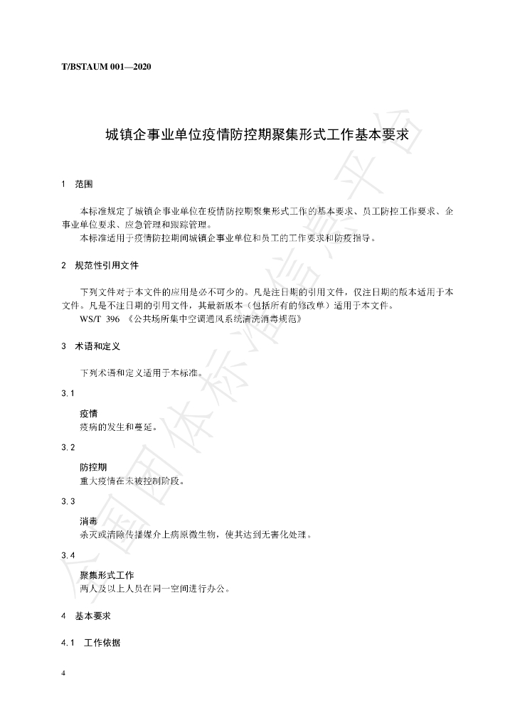 T/BSTAUM 001-2020 标准预览