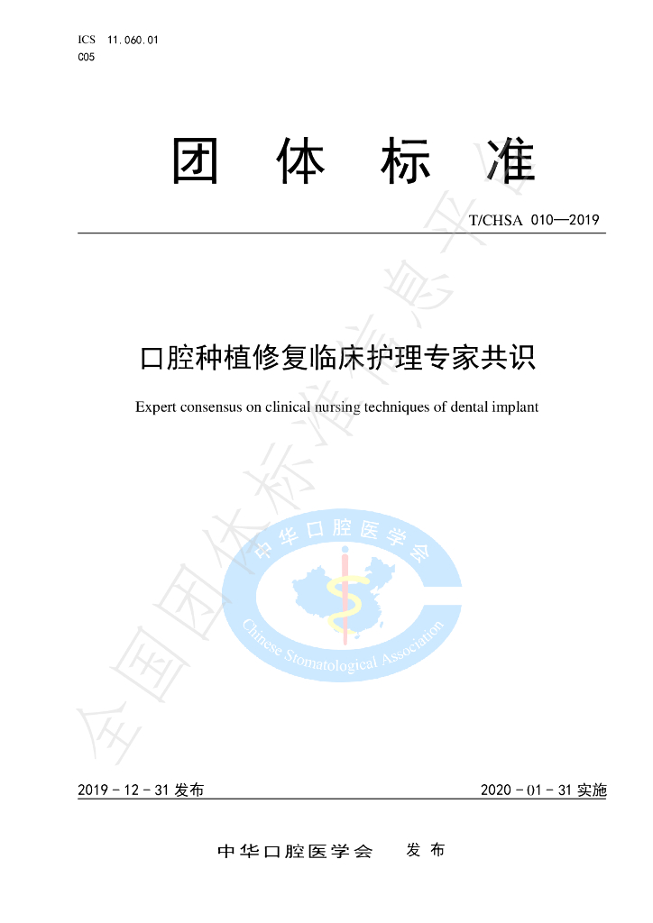 T/CHSA 010-2019 标准预览