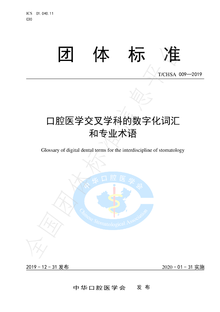 T/CHSA 009-2019 标准预览