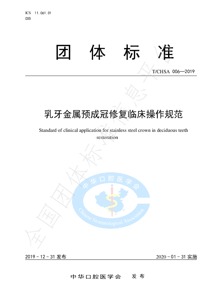 T/CHSA 006-2019 标准预览