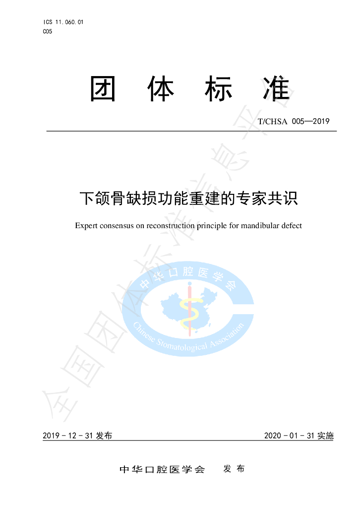 T/CHSA 005-2019 标准预览