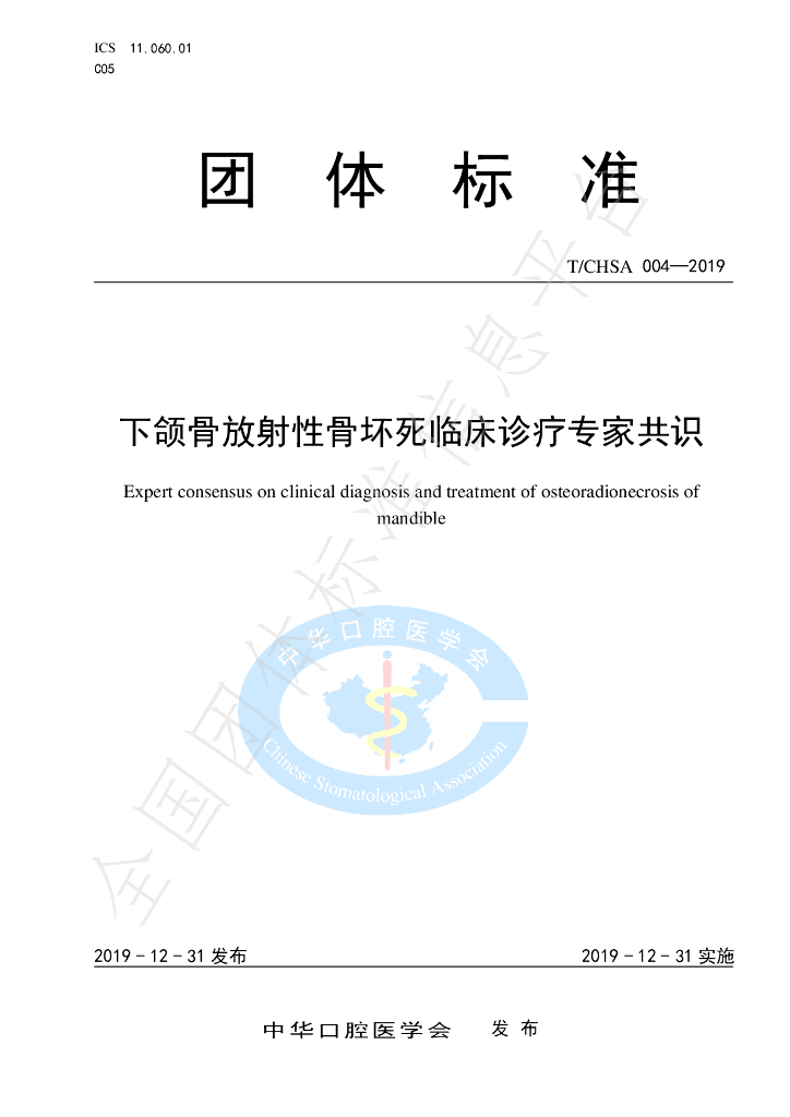 T/CHSA 004-2019 标准预览