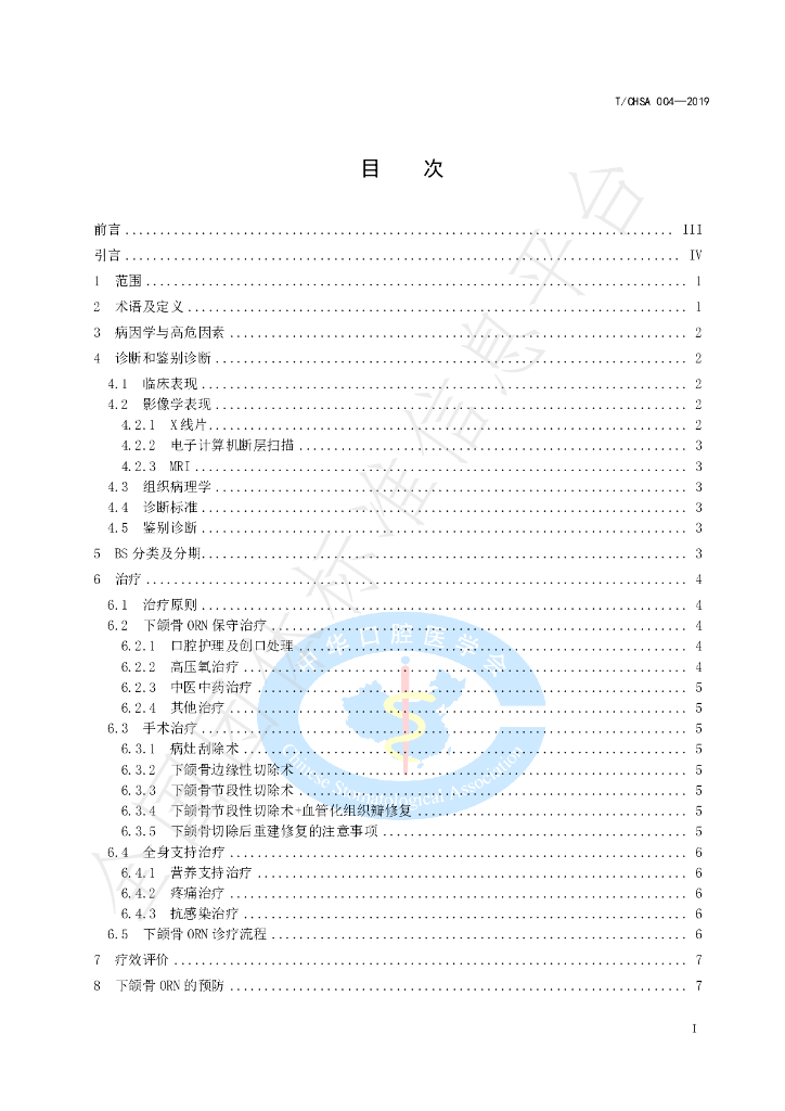 T/CHSA 004-2019 标准预览