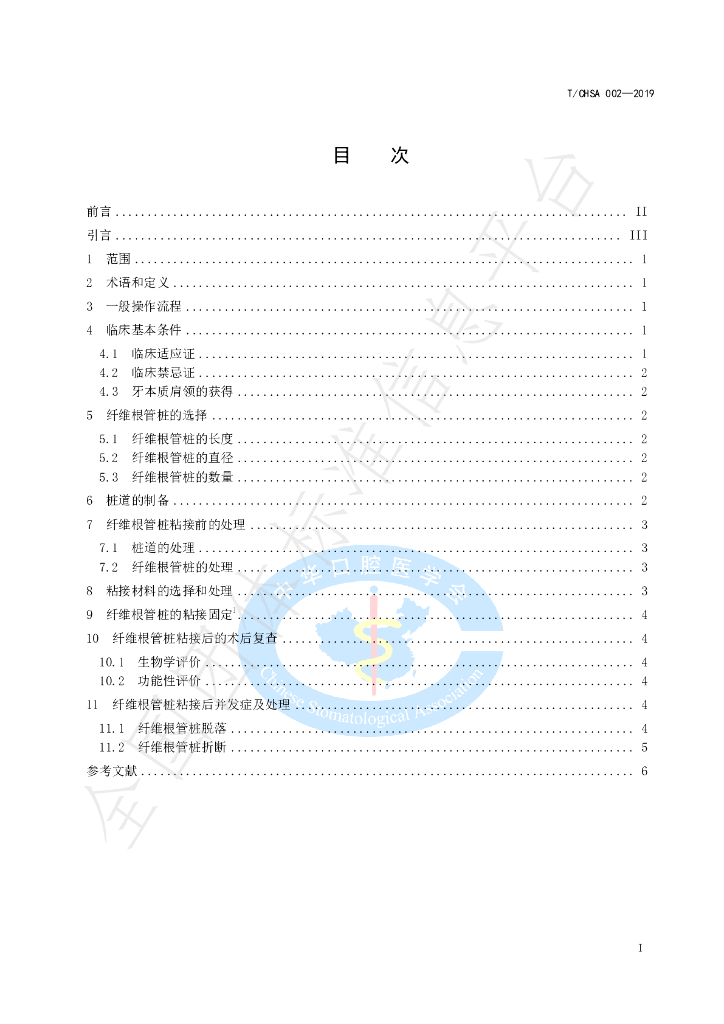 T/CHSA 002-2019 标准预览