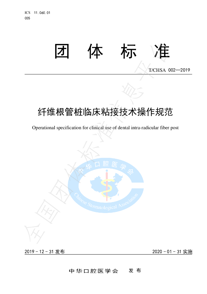 T/CHSA 002-2019 标准预览