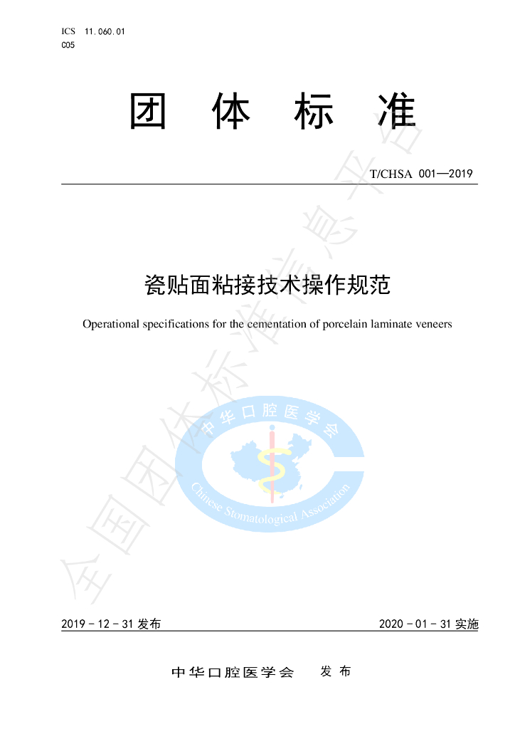 T/CHSA 001-2019 标准预览