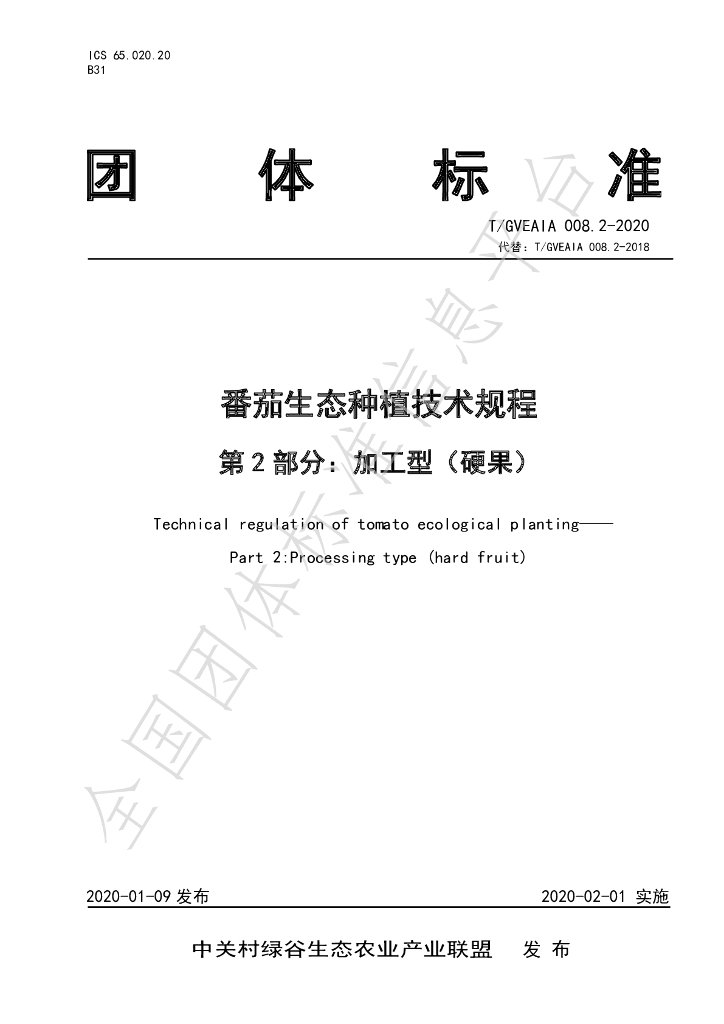 T/GVEAIA 008.2-2020 标准预览