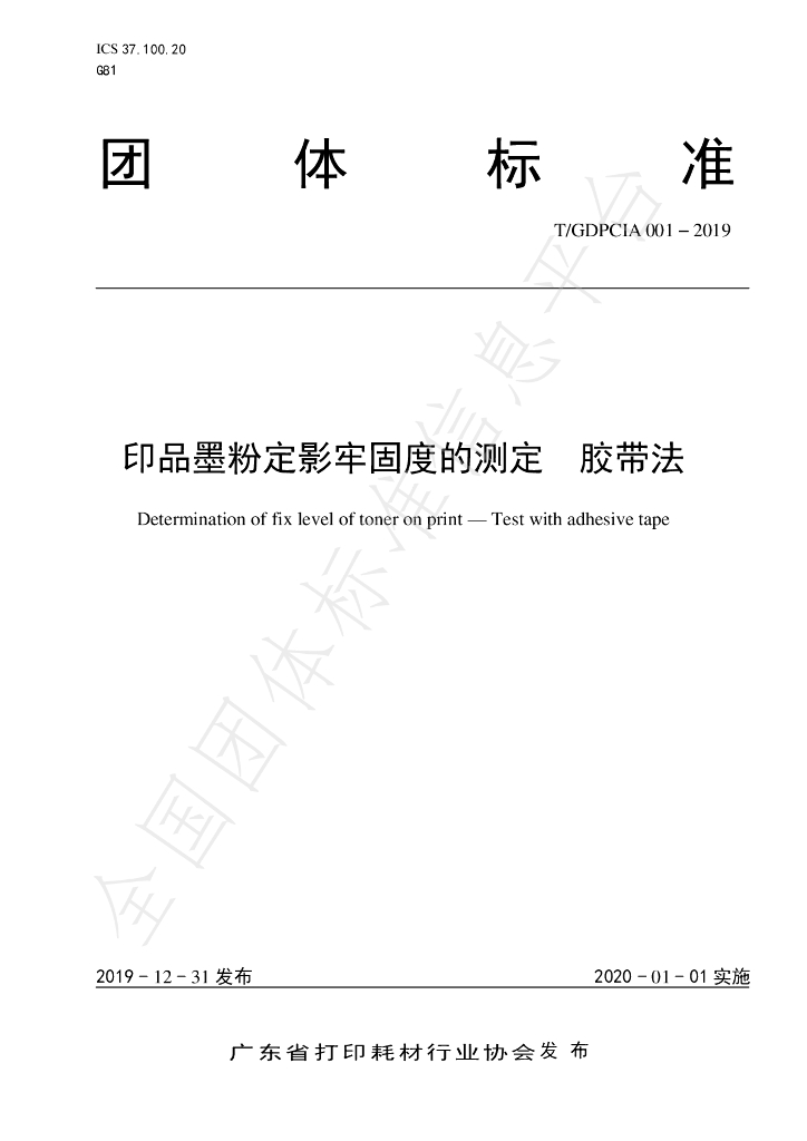 T/GDPCIA 001-2019 标准预览