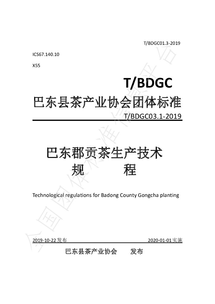 T/BDGC 01.3-2019 标准预览