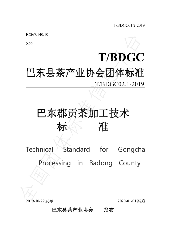 T/BDGC 01.2-2019 标准预览