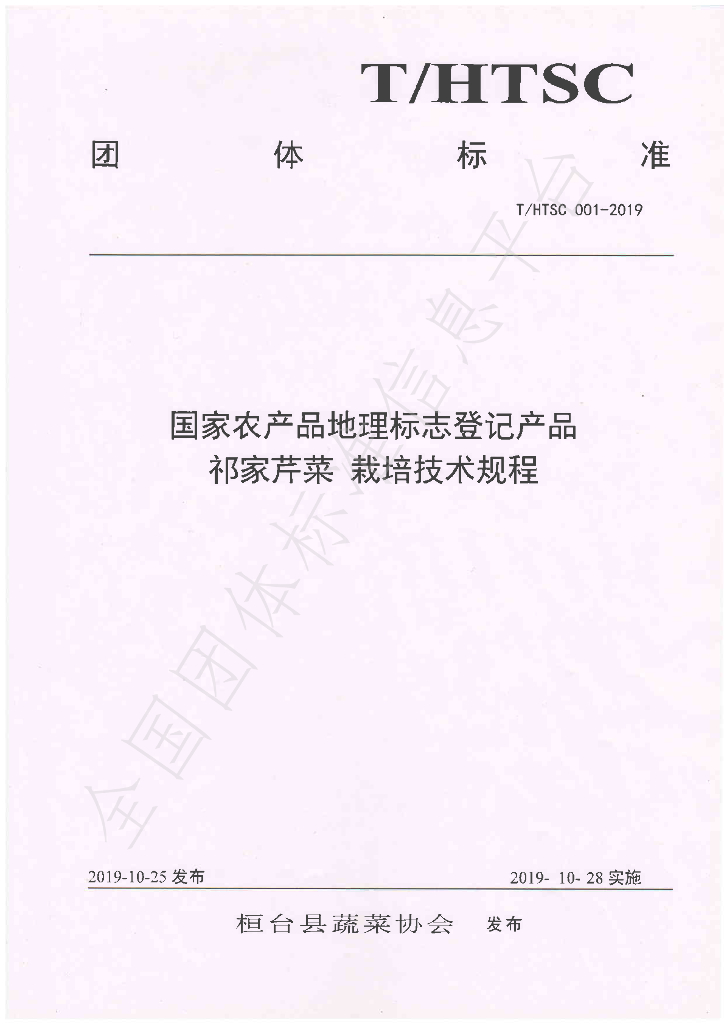 T/HTSC 001-2019 标准预览