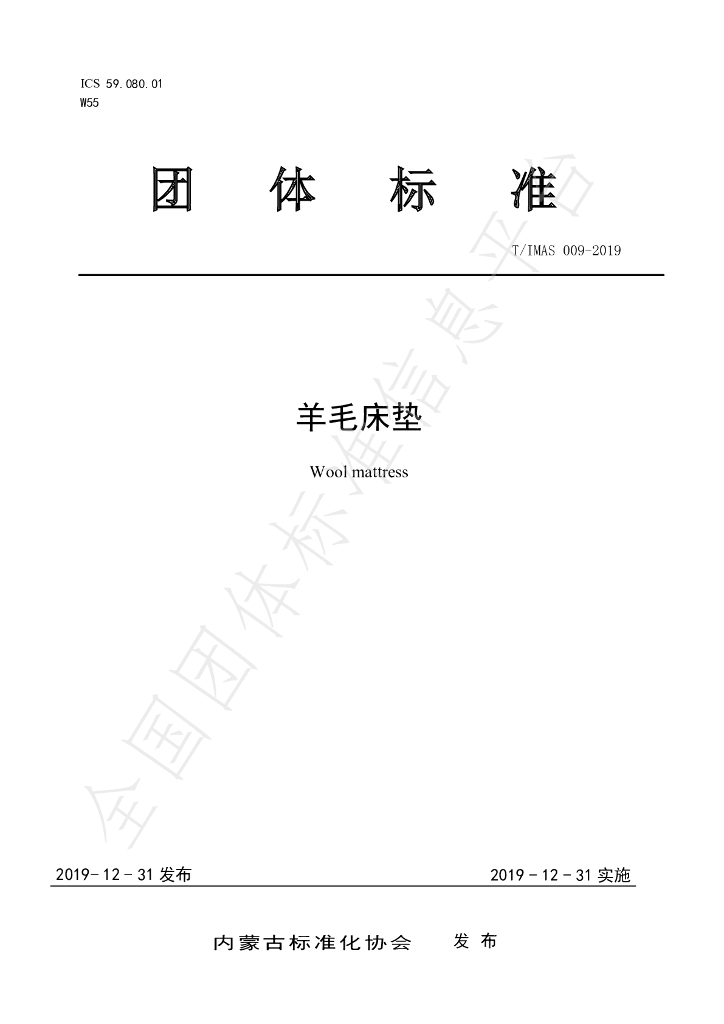 T/IMAS 009-2019 标准预览