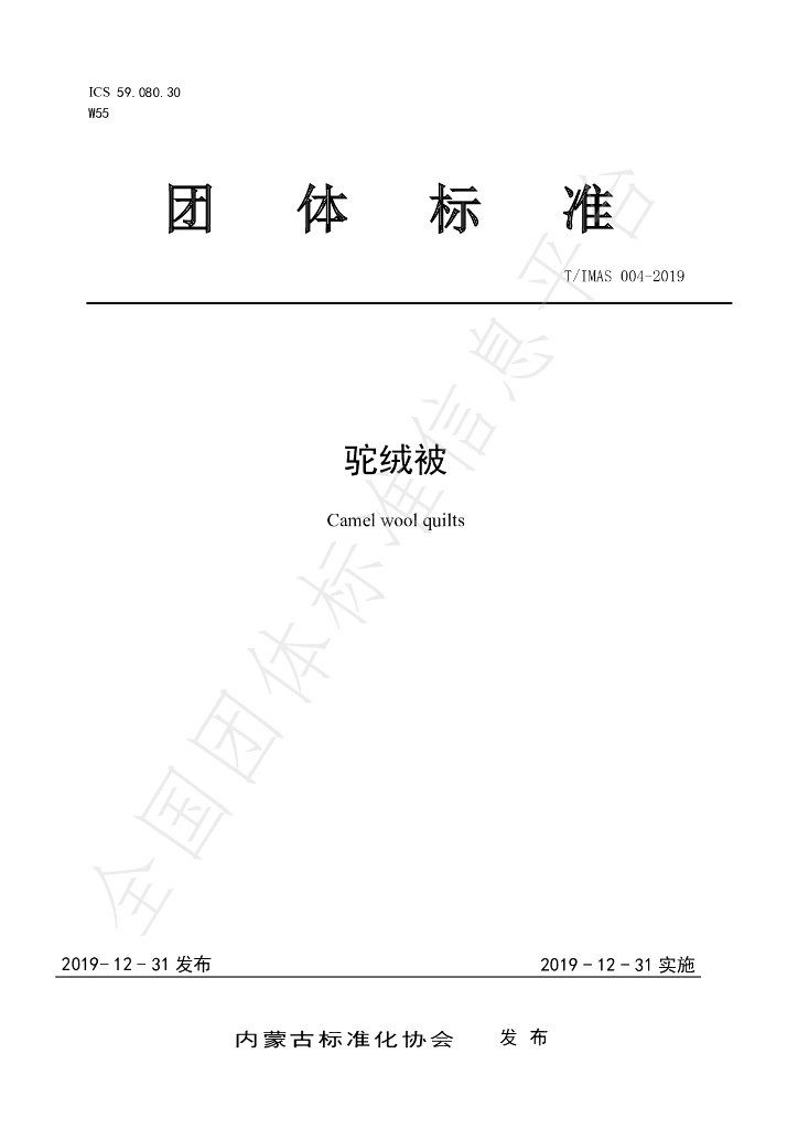 T/IMAS 004-2019 标准预览