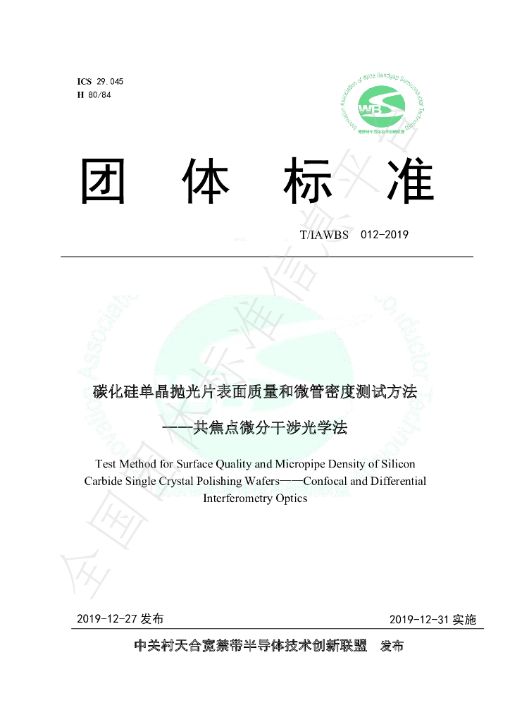 T/IAWBS 012-2019 标准预览