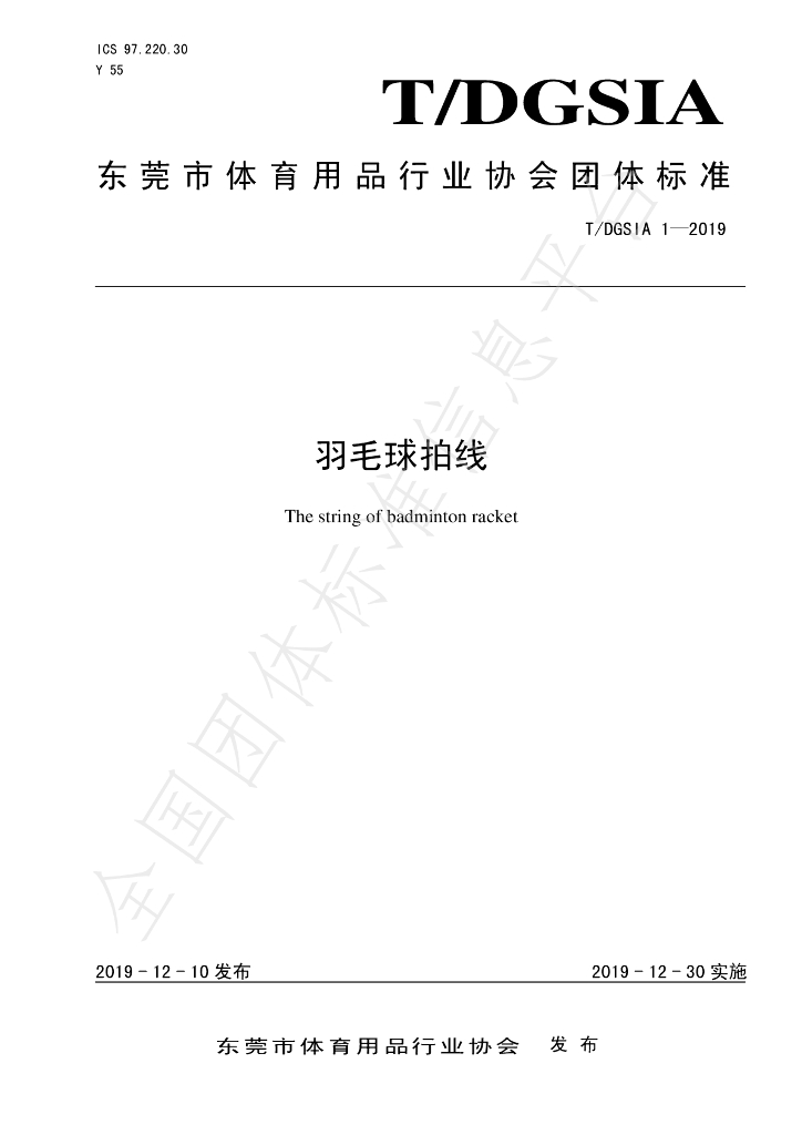 T/DGSIA 1-2019 标准预览